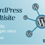 WordPress Multisite Installation 2024